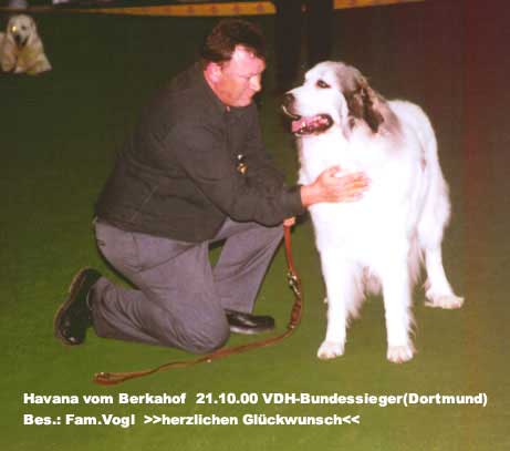 01dortm.21.10.00-havana.jpg (34937 Byte)